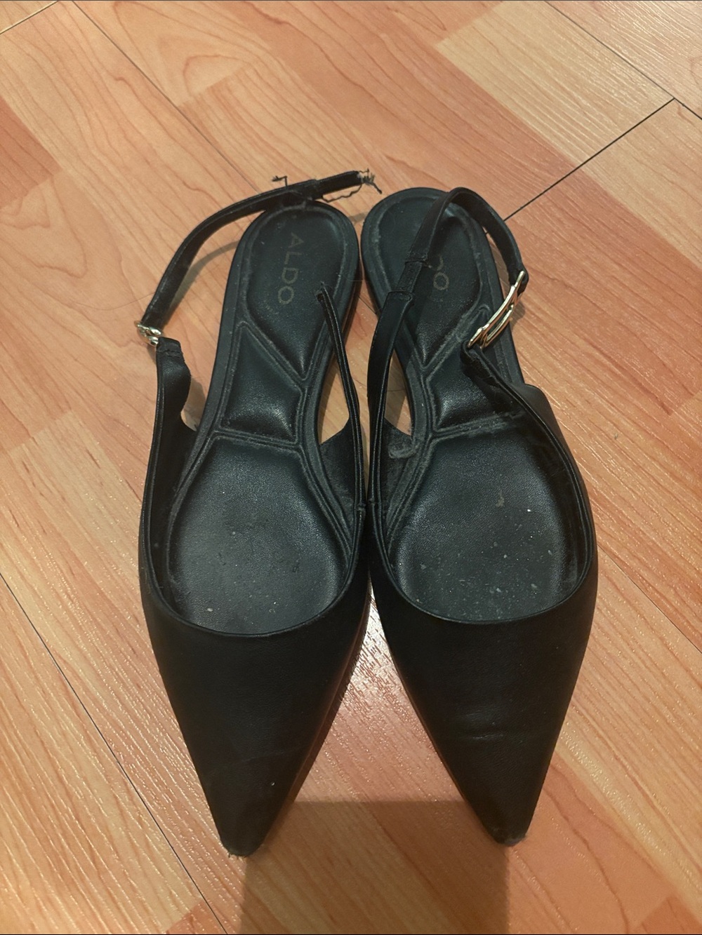 Aldo Black Pointed Slingback Mules with Buckle